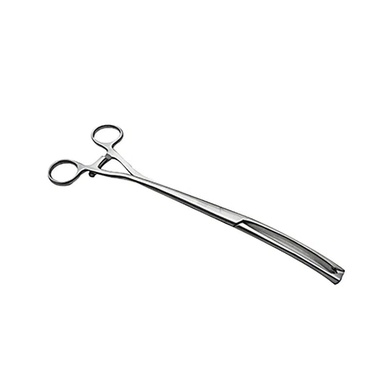 Pinza Museux de Acero Inoxidable Premium – | Varias Medidas y Estilos