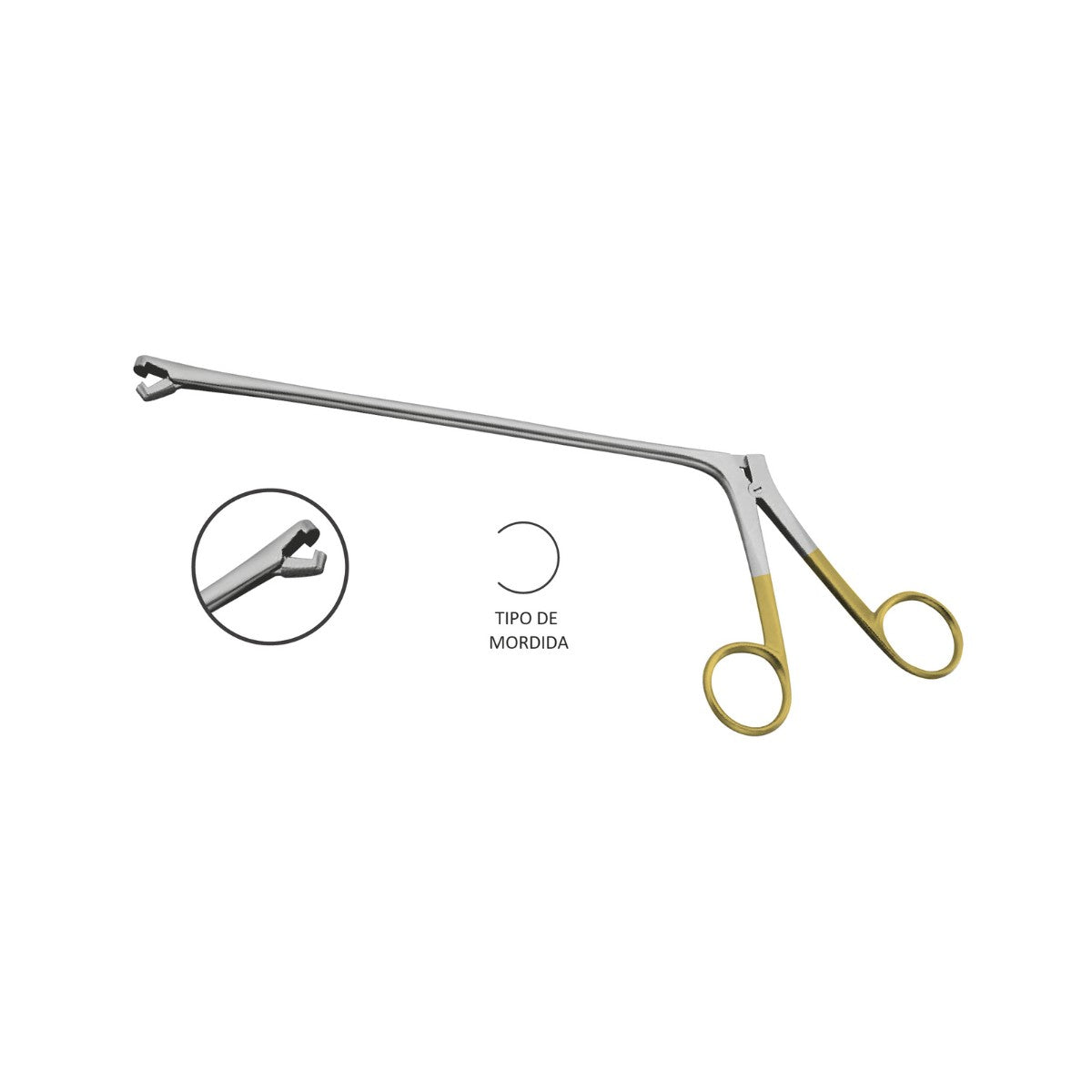 Pinza Biopsy Berger