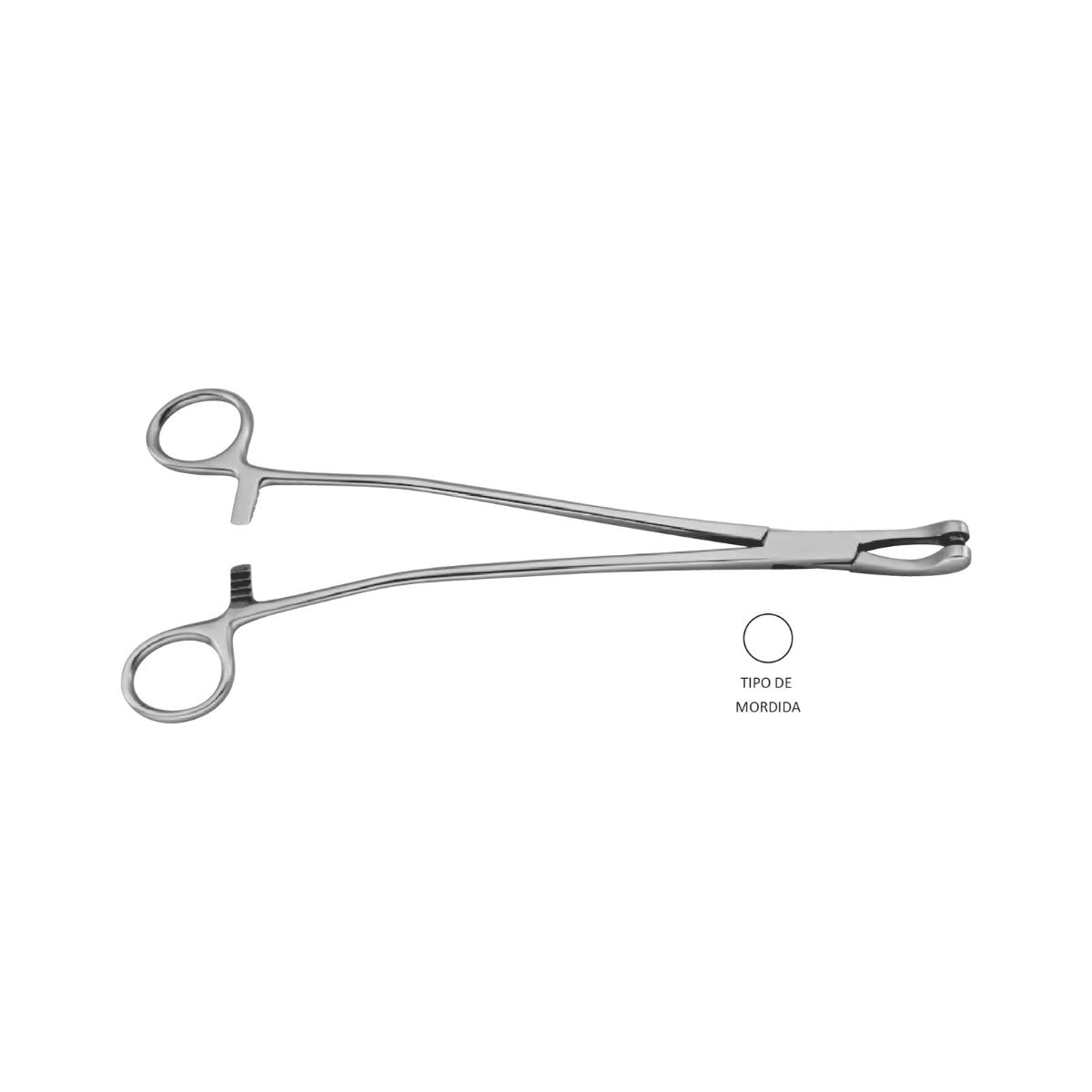 Pinza Biopsy Thomas Gaylor