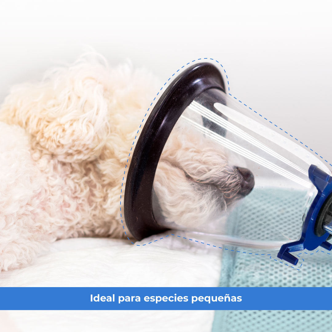 Kit Veterinario de Mascarillas de Anestesia Mindray