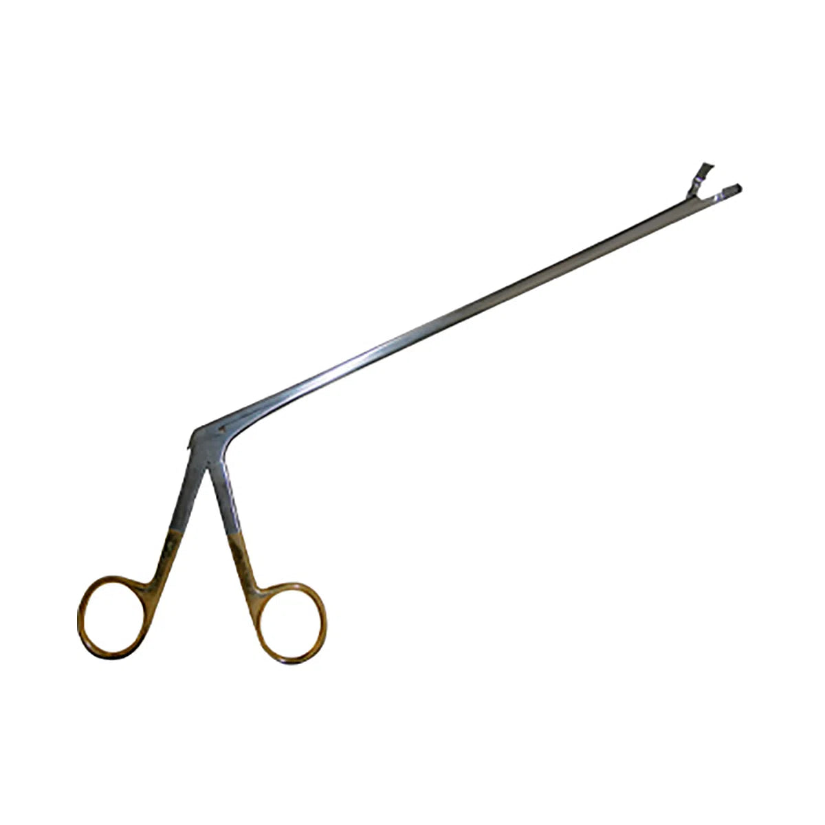 Pinza Biopsy Kevorkian Younge