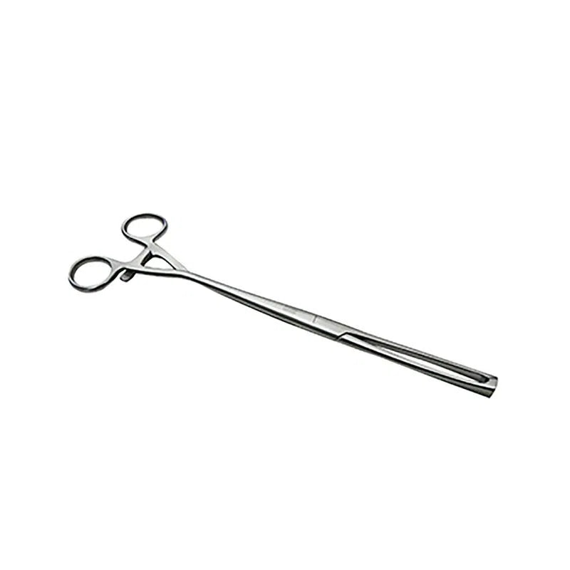 Pinza Museux de Acero Inoxidable Premium – | Varias Medidas y Estilos