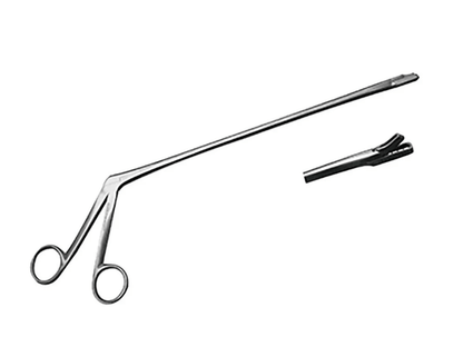 Pinza Biopsy Yeoman