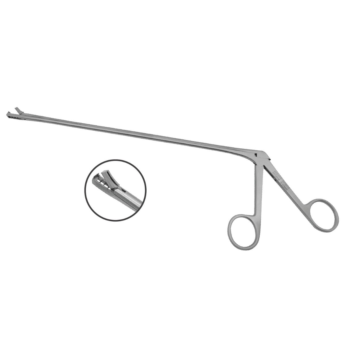 Pinza Biopsy Kevorkian Younge