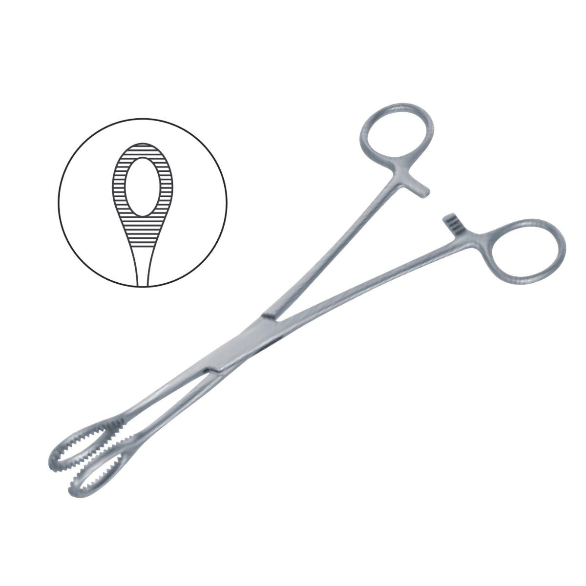 Pinza Percy Tissue