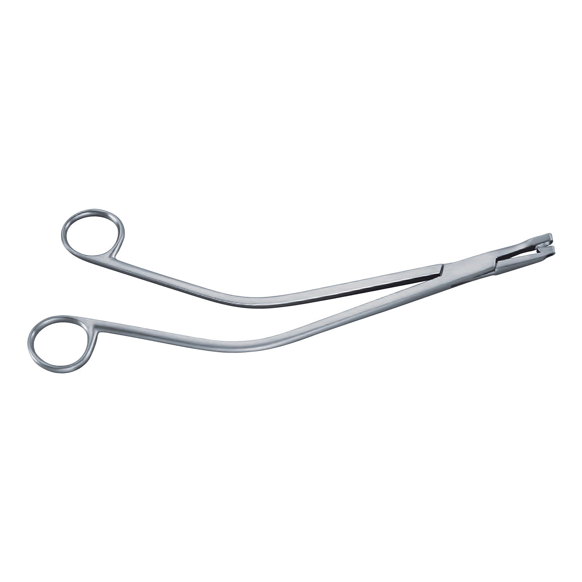 Pinza de Biopsia Schubert en Acero Inoxidable