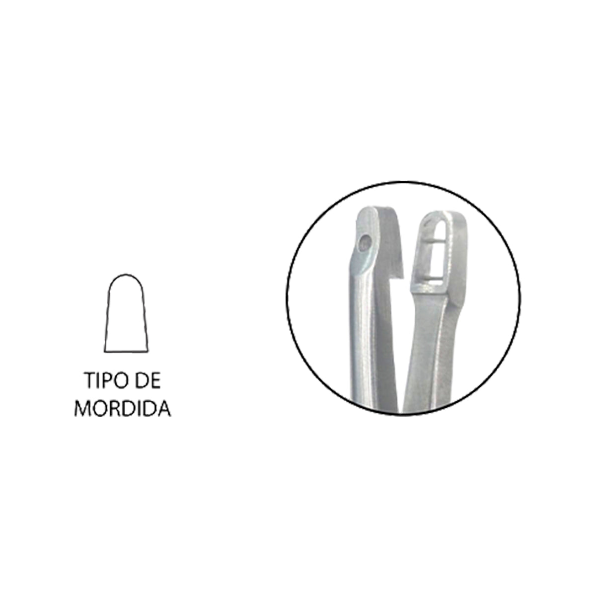 Pinza de Biopsia Schubert en Acero Inoxidable