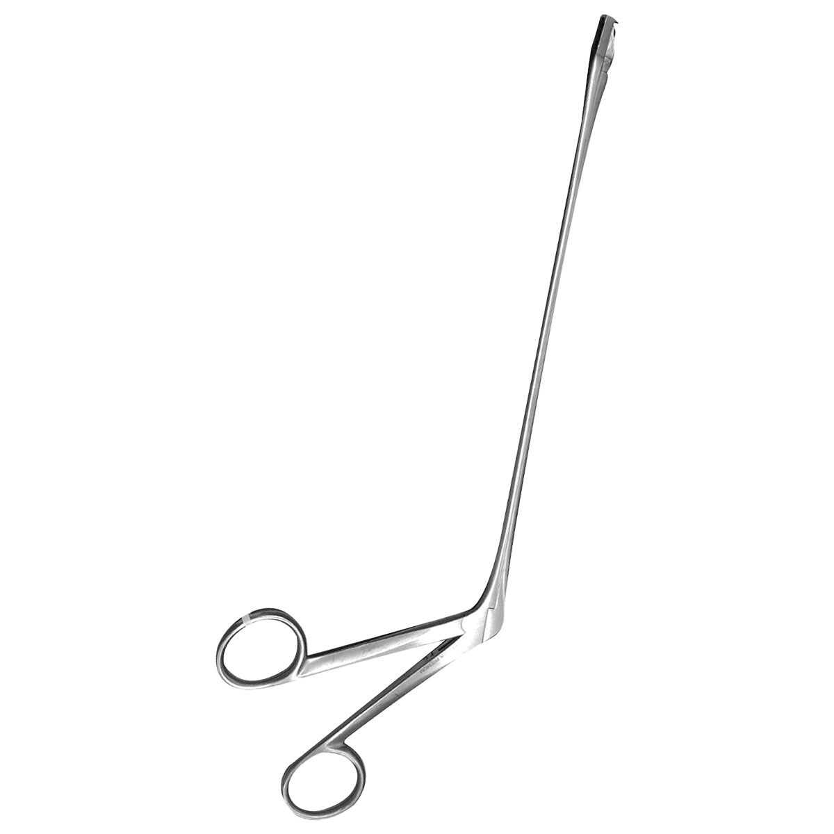 Pinza Biopsy Wittner