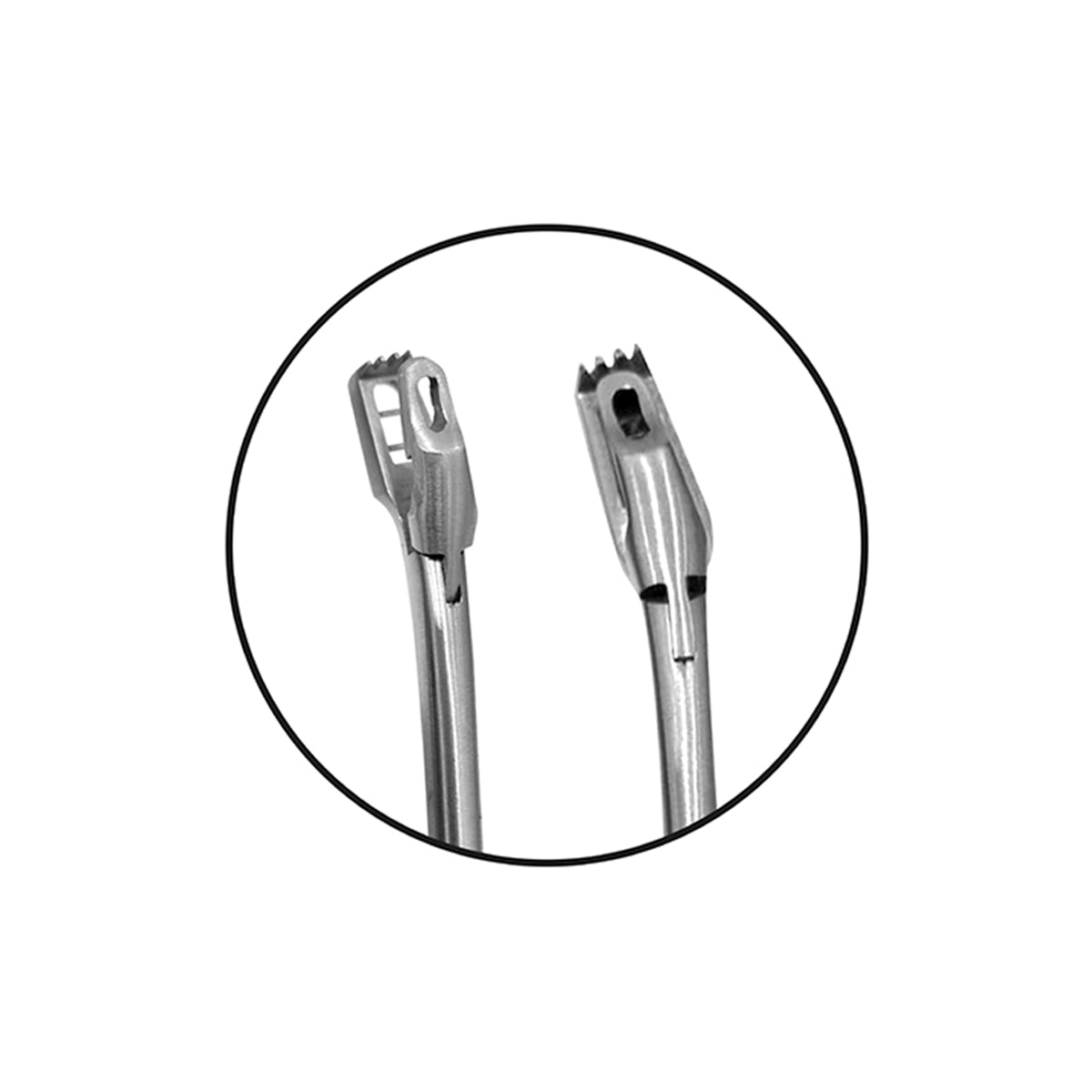 Pinza Biopsy Wittner