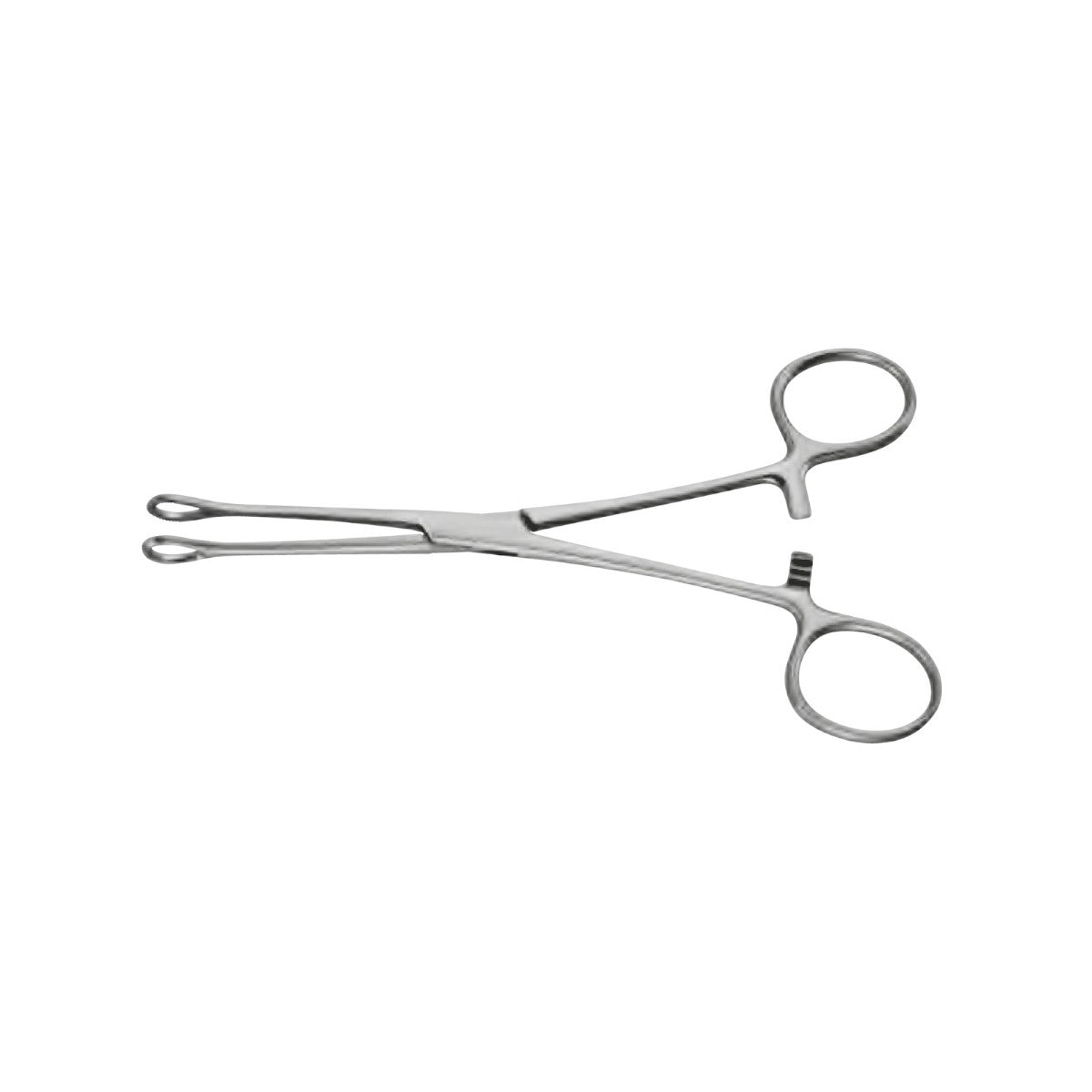 Pinza Percy Tissue