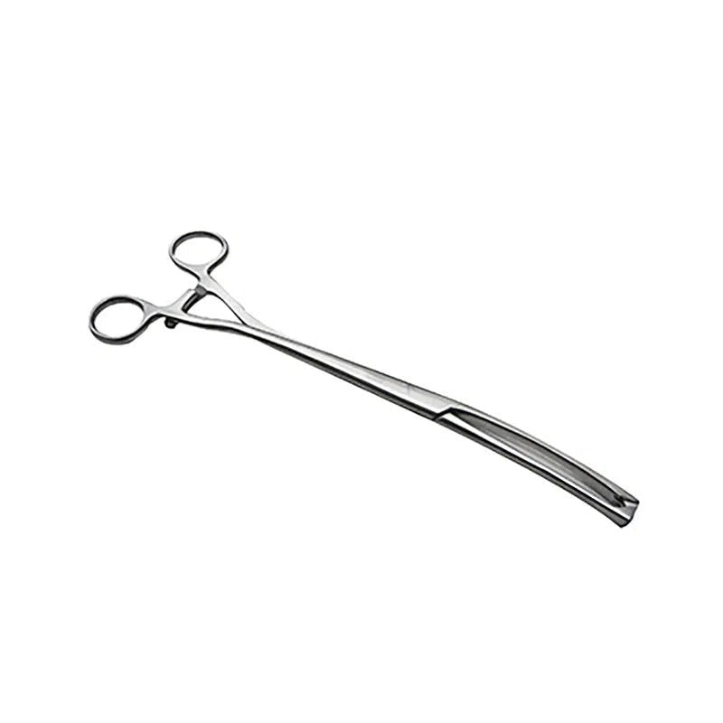 Pinza Museux de Acero Inoxidable Premium – | Varias Medidas y Estilos