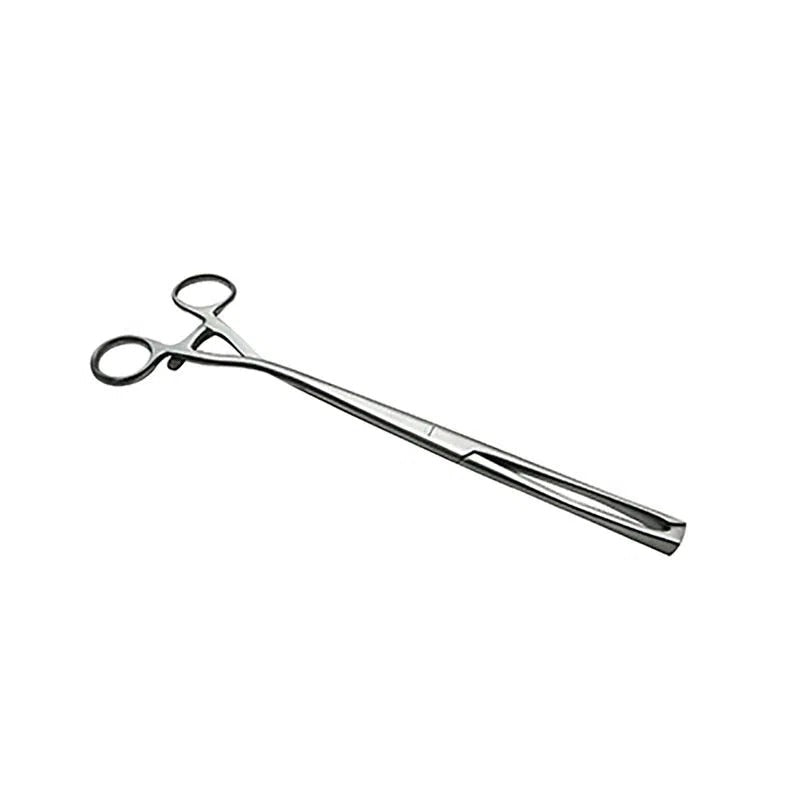 Pinza Museux de Acero Inoxidable Premium – | Varias Medidas y Estilos