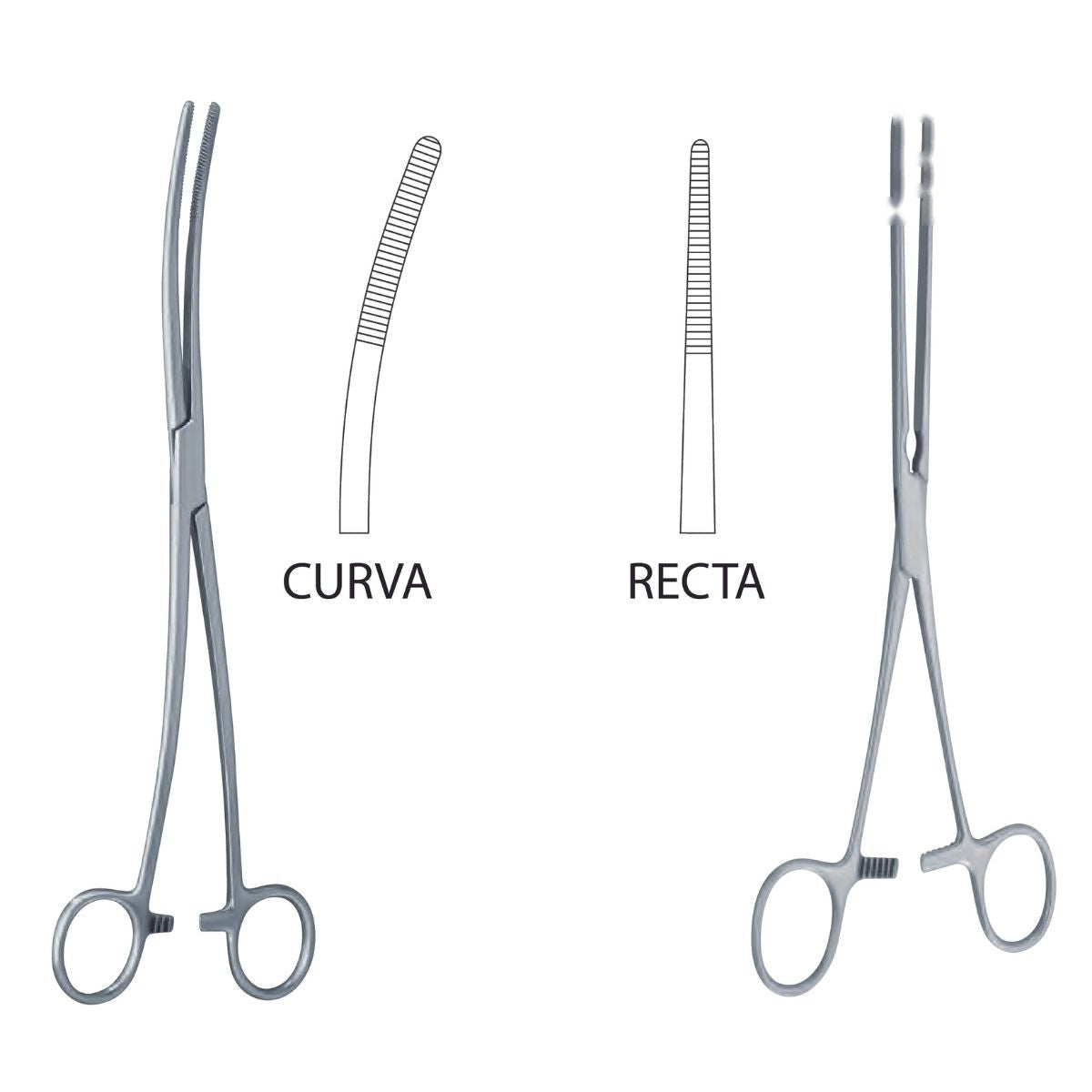 Pinza Doble Bozeman de Acero Inoxidable Alemán | Marca Hergom Medical