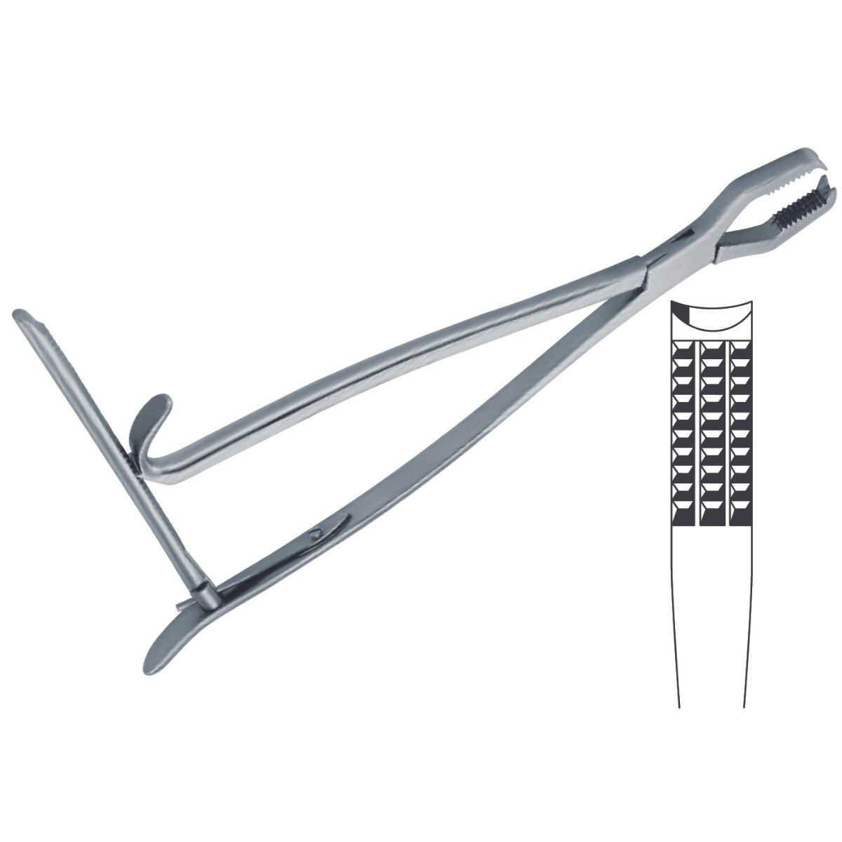 Pinza Lane Bone Holding Quirúrgica | Marca Hergom Premium