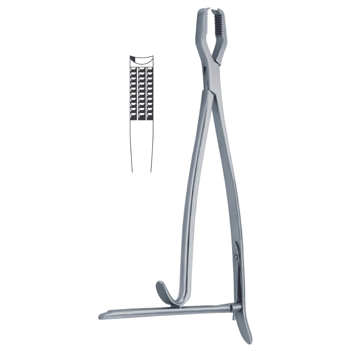 Pinza Lane Bone Holding Quirúrgica | Marca Hergom Premium
