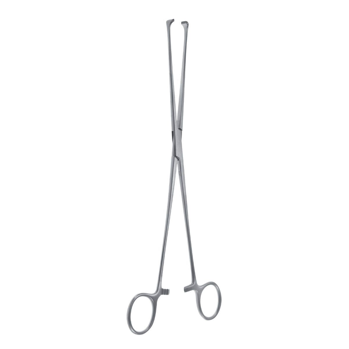 Pinza Allis Willauer 5×6 Dientes Profesional | Marca Hergom Medical