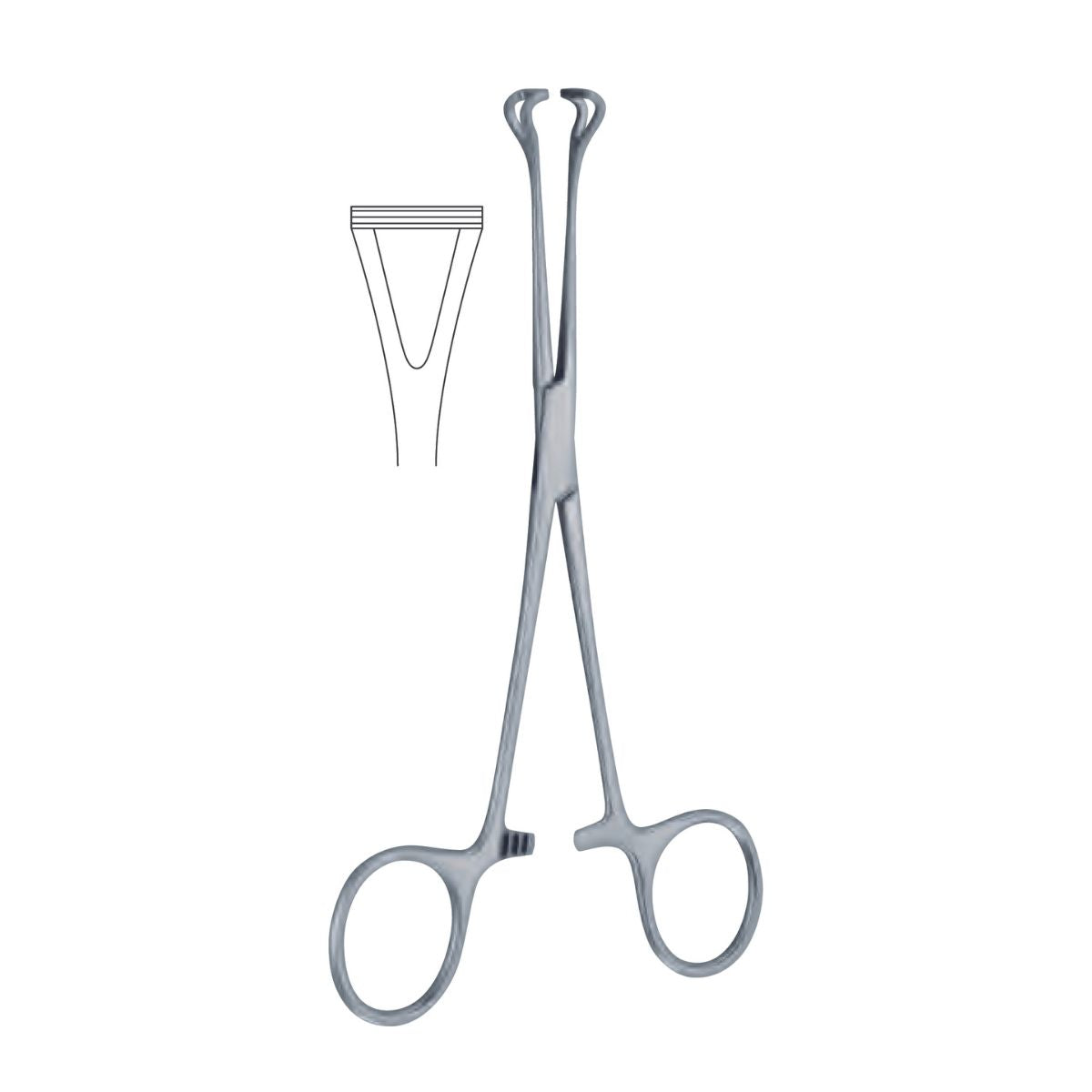 Pinza Babcock | Marca Hergom Medical