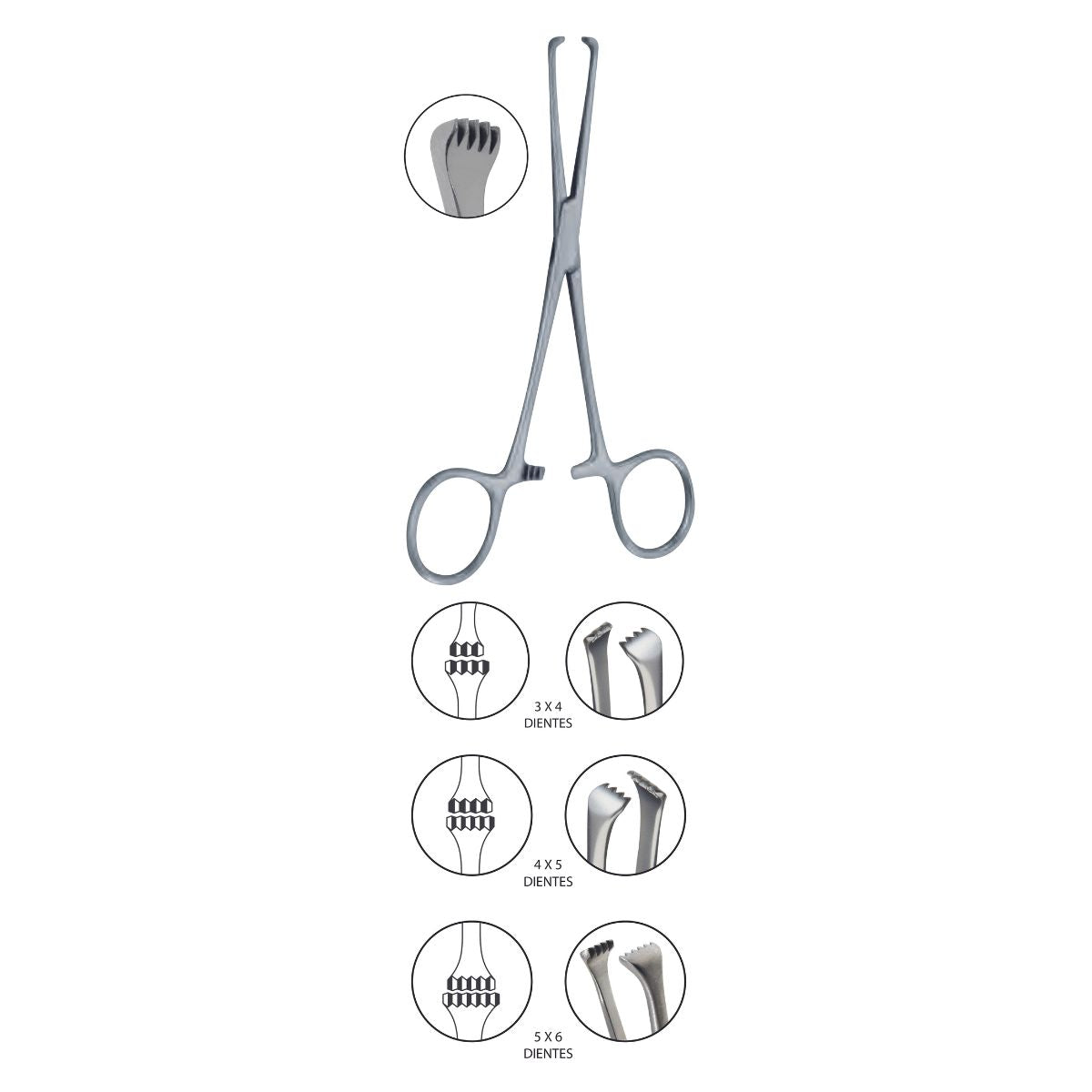 Pinza Allis autosujetante | Marca Hergom Medical