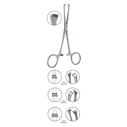 Pinza Allis autosujetante | Marca Hergom Medical
