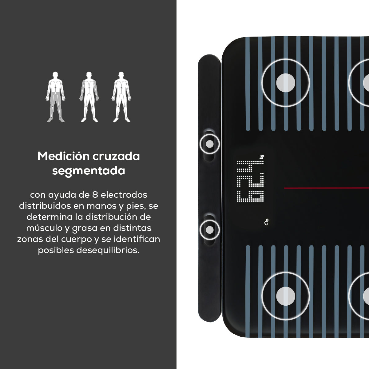 Báscula Profesional Beurer BF990 para Análisis Corporal Completo  | Marca beurer
