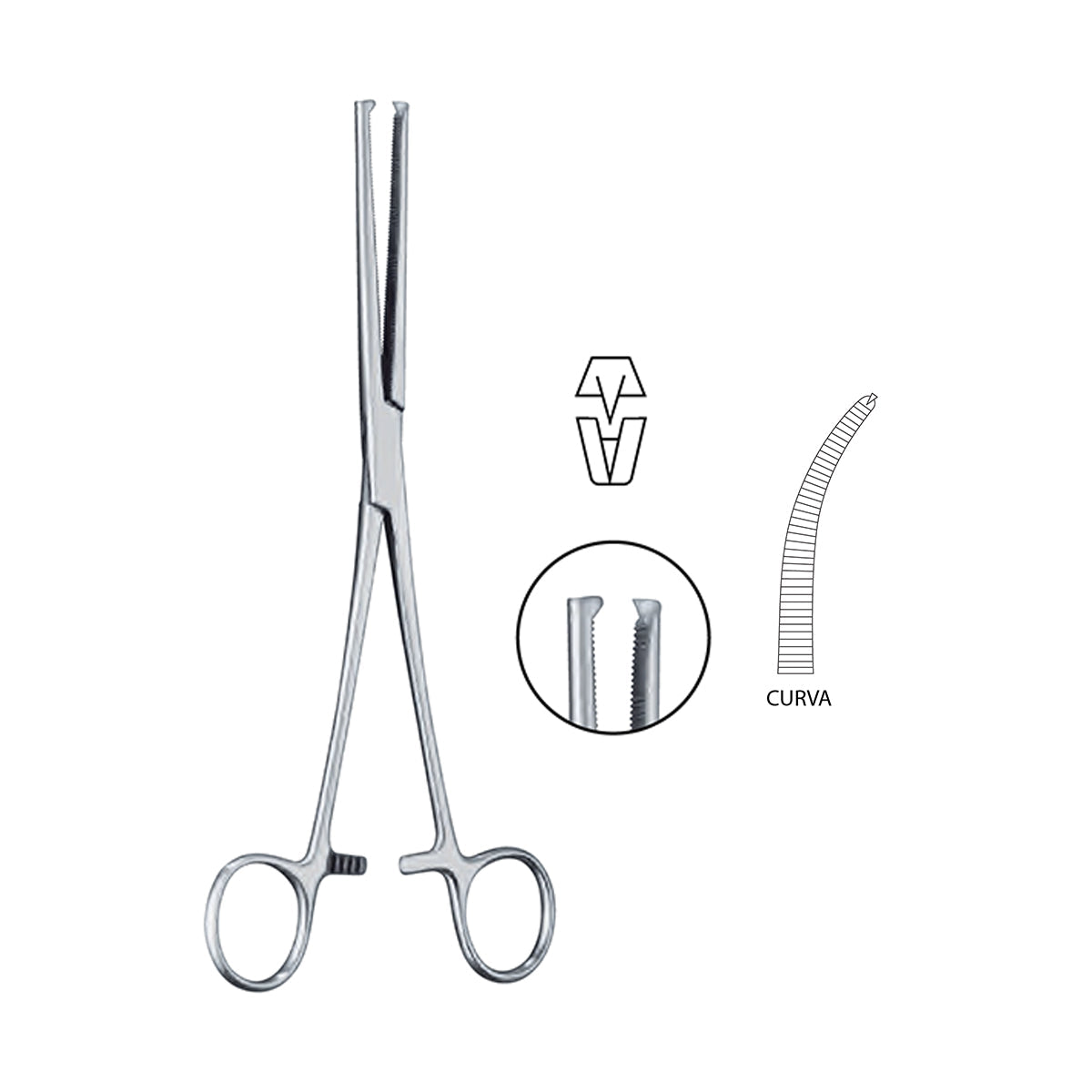 Pinza Rochester Ochsner Quirúrgica | Marca Hergom Medical