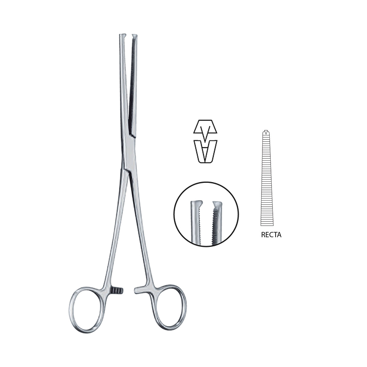 Pinza Rochester Ochsner Quirúrgica | Marca Hergom Medical