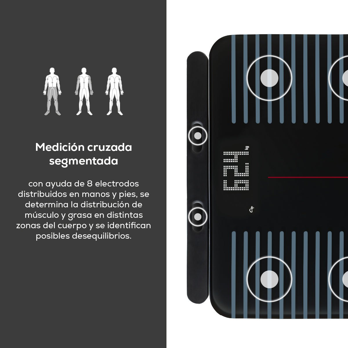 Báscula Profesional Beurer BF990 para Análisis Corporal Completo beurer