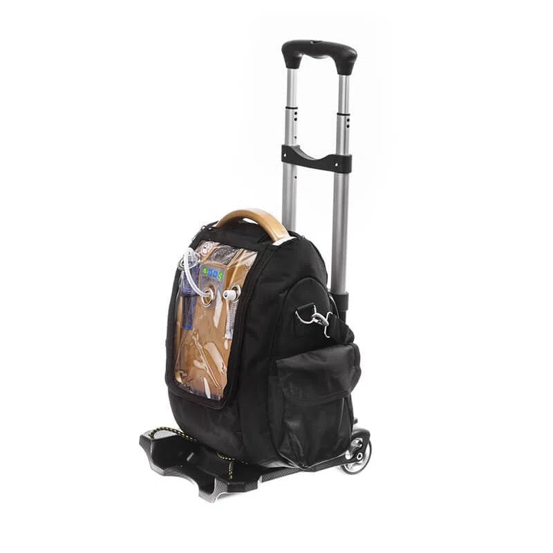 Concentrador portátil 3 L Handy OLV-B1