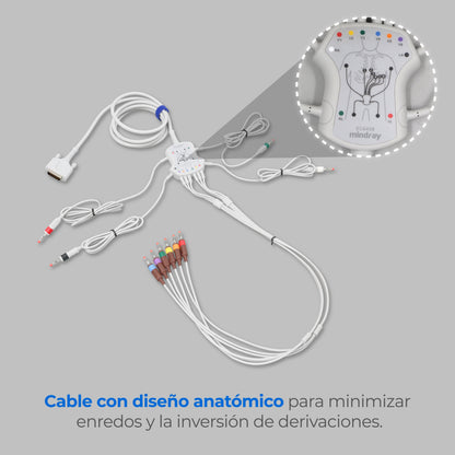 Electrocardiógrafo de 12 Canales y Algoritmo Glasgow, Pantalla 8 Pulgadas de Alta Resolución / BeneHeart R12 ECG Marca Mindray