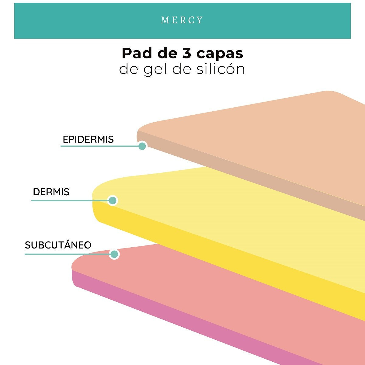 Estuche de Disección 20 Piezas + Pad de Sutura de 3 Capas | Acero inoxidable