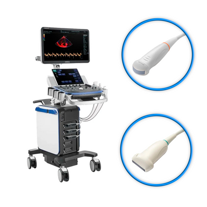 Ultrasonido Veterinario VETUS 8 Expert Mindray