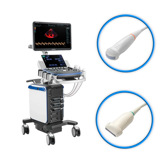 Ultrasonido Veterinario VETUS 8 Expert Mindray