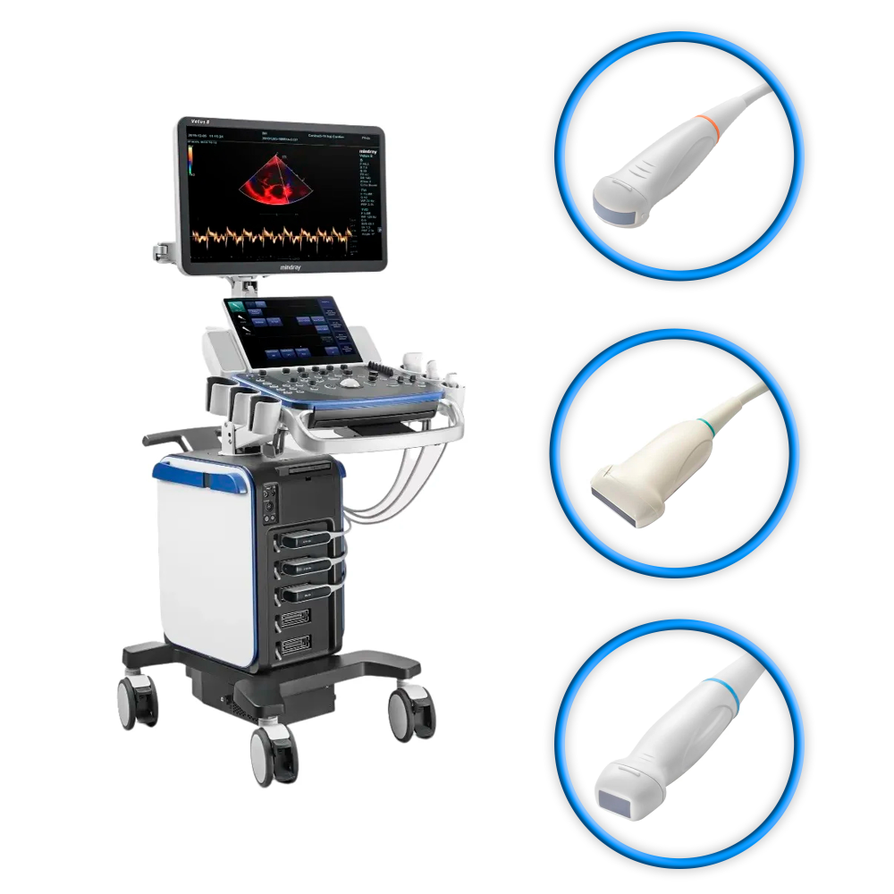 Ultrasonido Veterinario VETUS 8 Expert Mindray