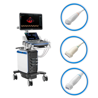 Ultrasonido Veterinario VETUS 8 Expert Mindray