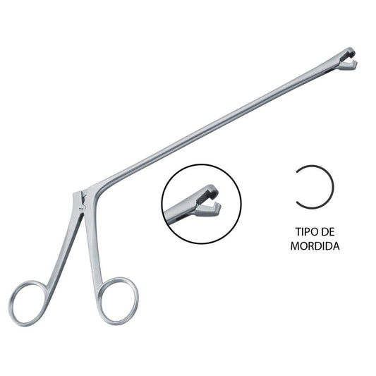 Pinza Biopsy Berger
