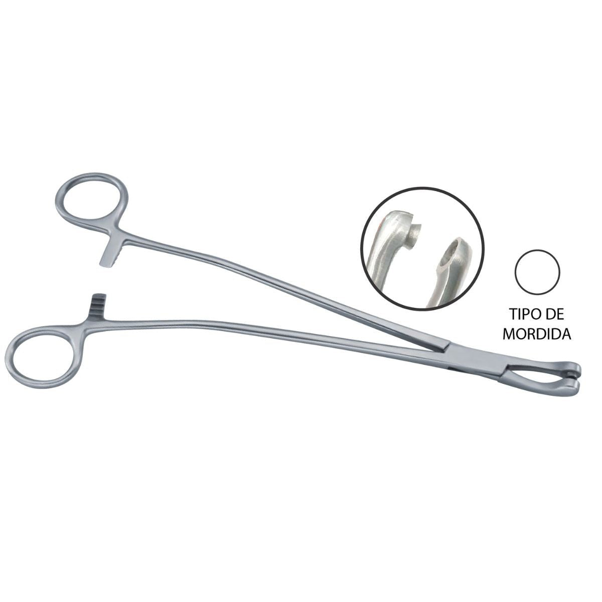 Pinza Biopsy Thomas Gaylor