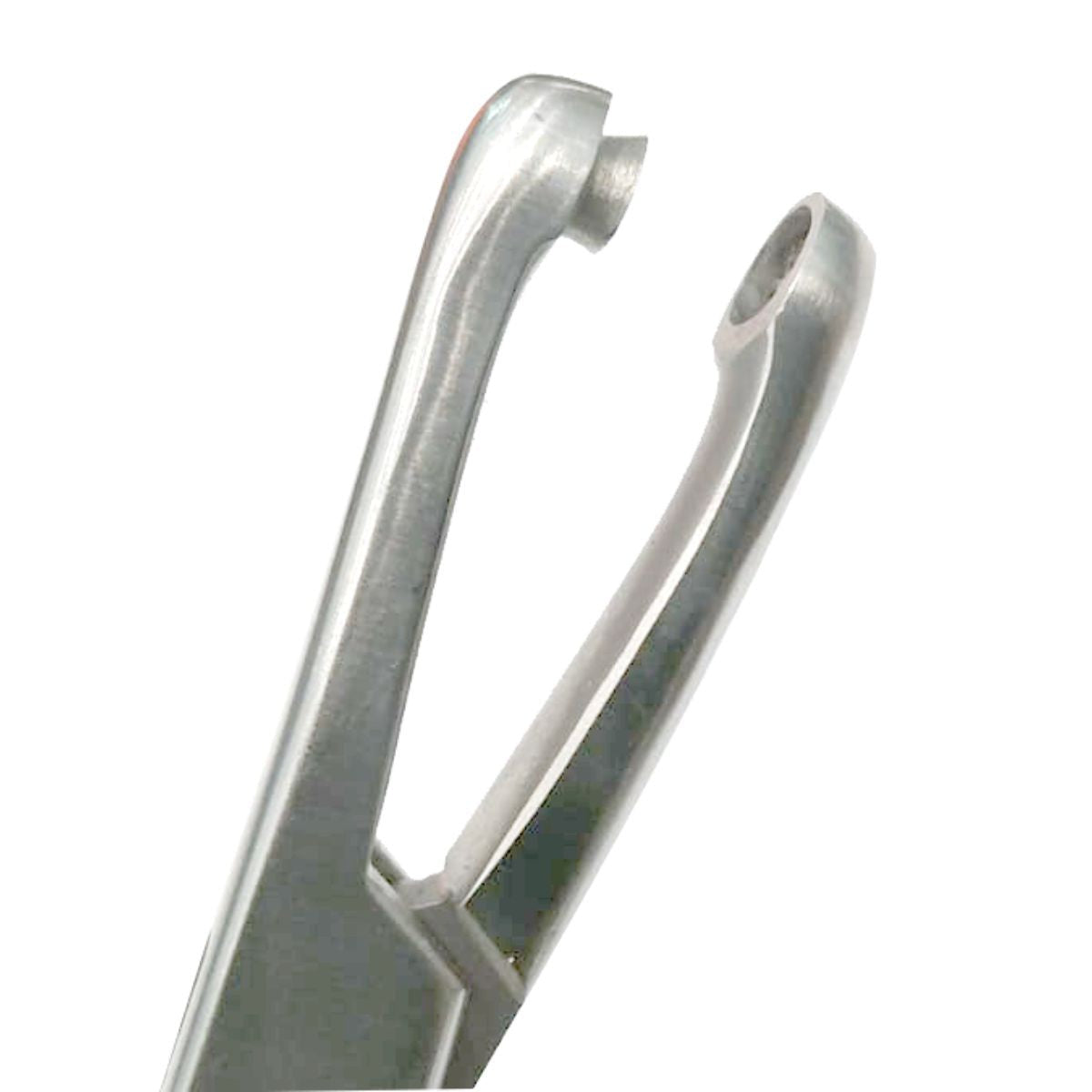 Pinza Biopsy Thomas Gaylor