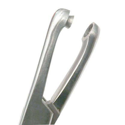 Pinza Biopsy Thomas Gaylor