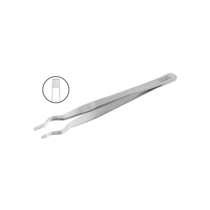 Pinza Wachenfeld