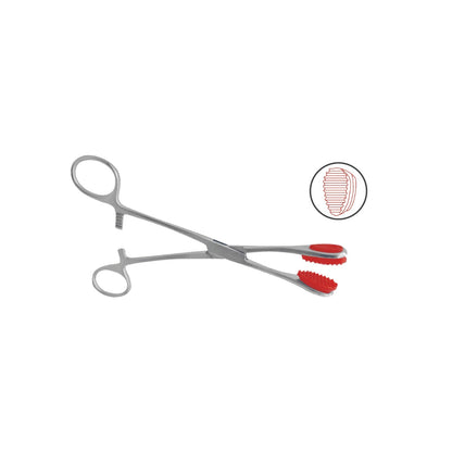 Pinza Young Tongue de Acero Inoxidable Alemán