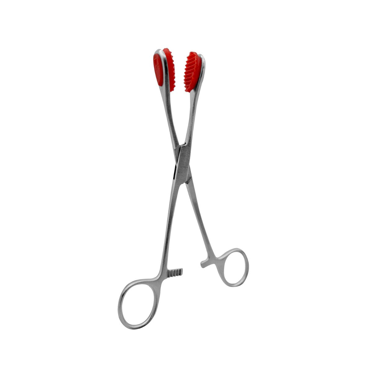 Pinza Young Tongue de Acero Inoxidable Alemán