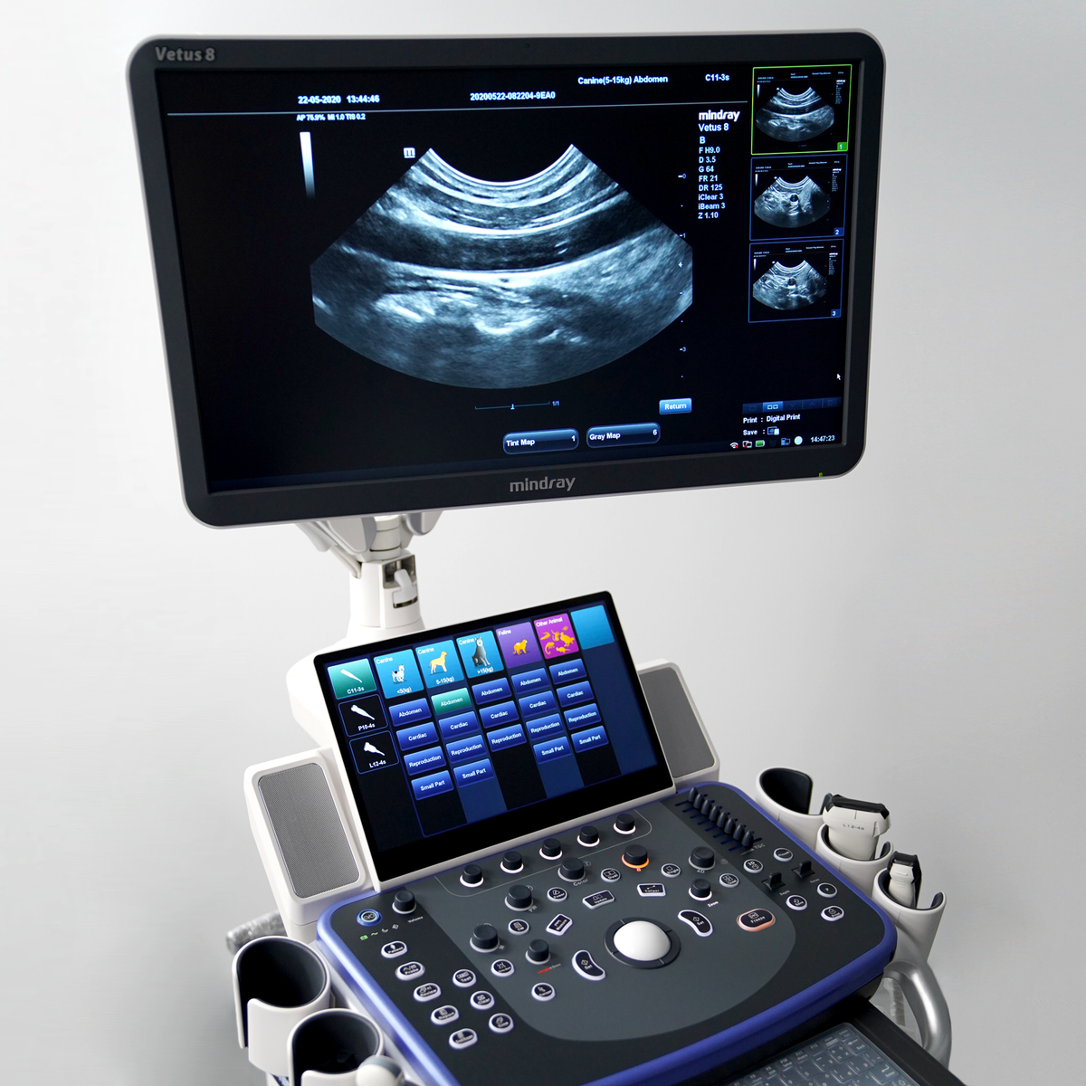 Ultrasonido Veterinario VETUS 8 Expert Mindray